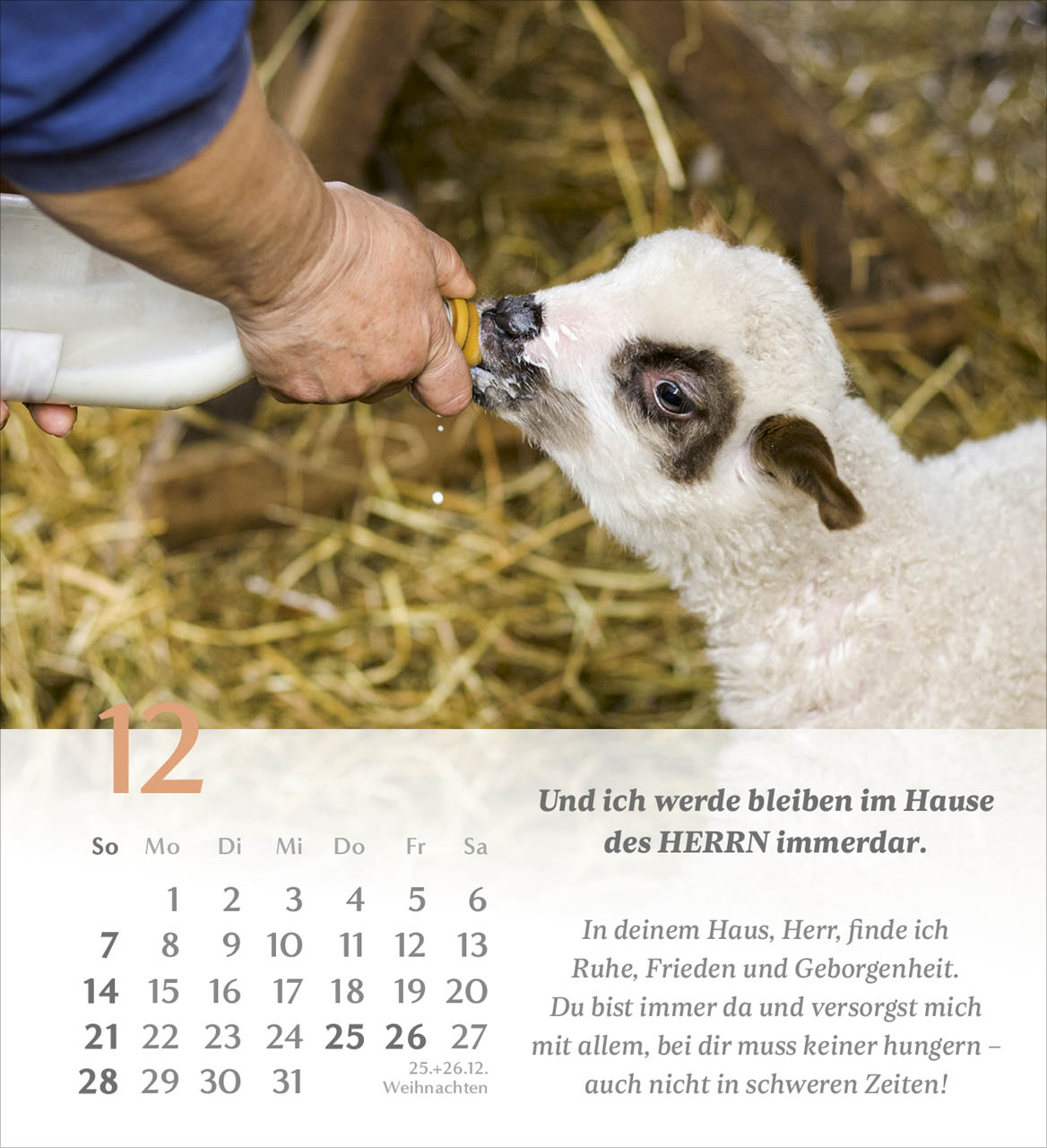 Psalm 23 Tischkalender