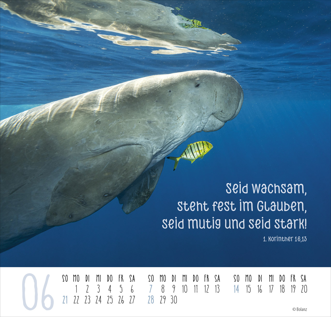 Beste Freunde - Ich mag dich 2026 - Posterkalender