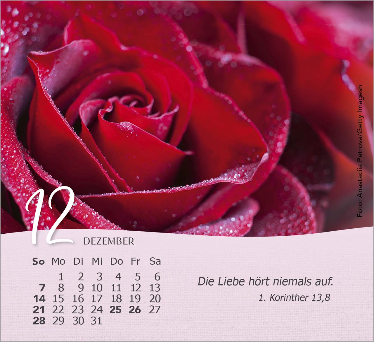 Rosen Tischkalender