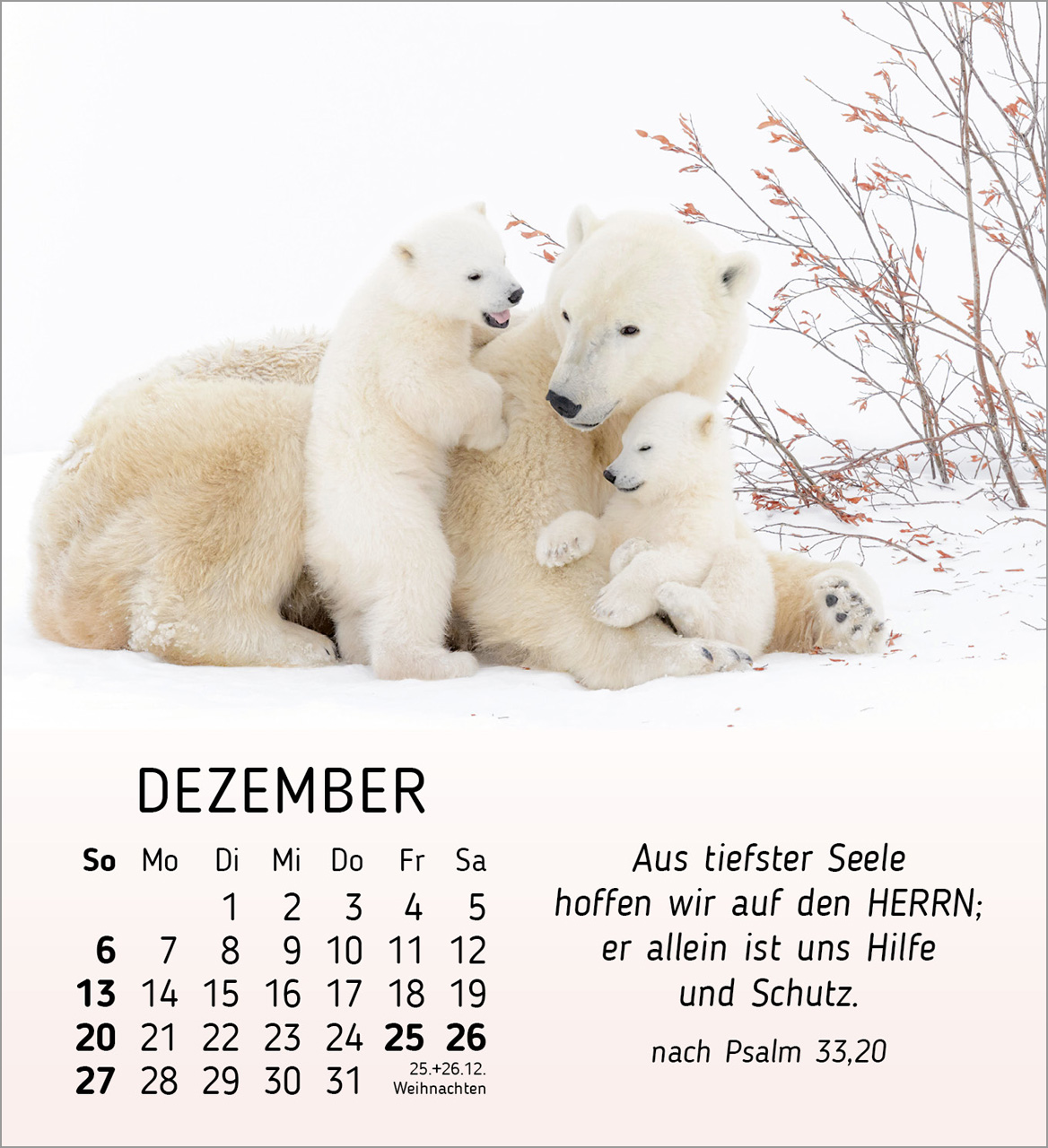 Meine kleinen Freunde 2026 - Tischkalender Meine kleinen Freunde 2026 - Tischkalender
