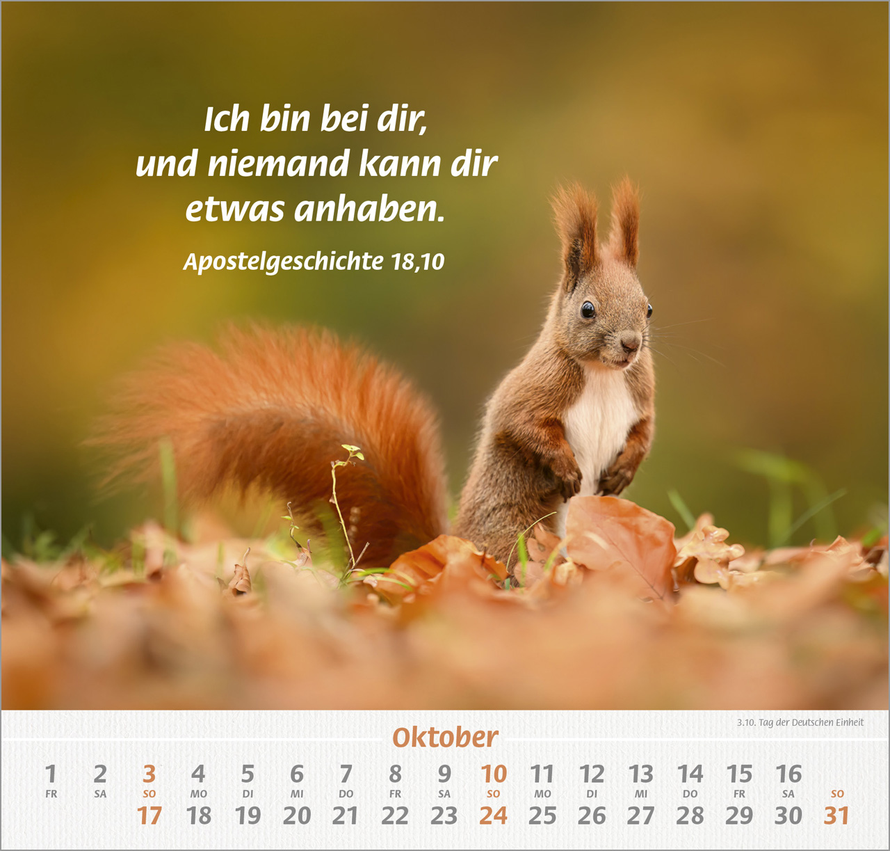 Ich hab dich gern 2027 – Wandkalender