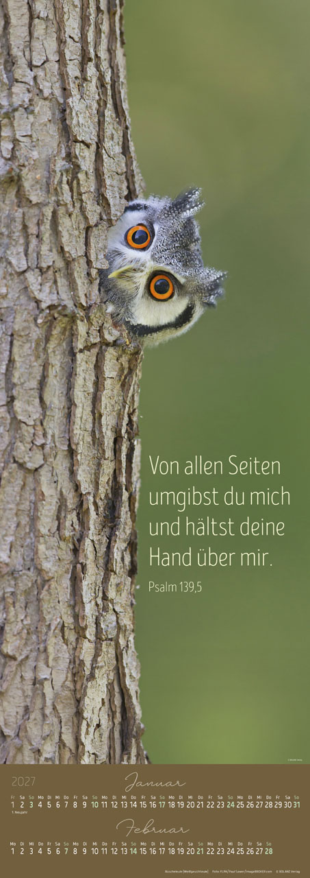Impressionen 2027 – Super-Posterkalender