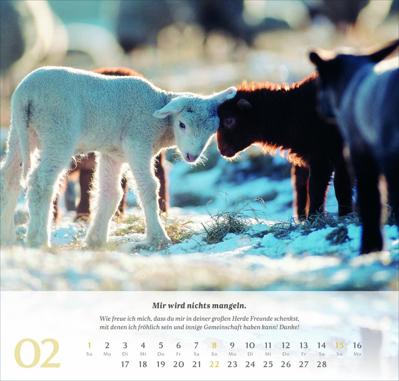 Psalm 23 Wandkalender 2026