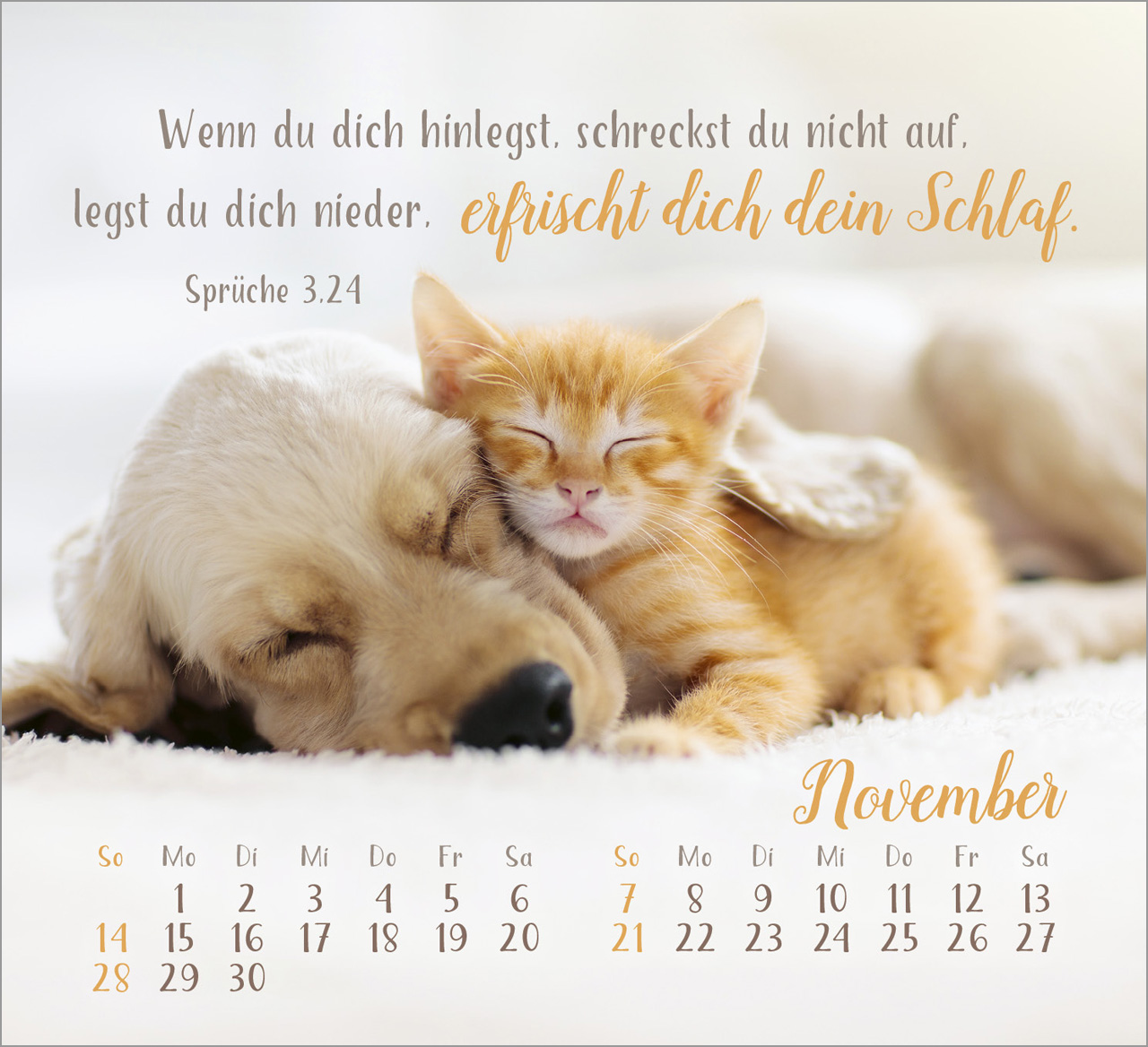Sei gesegnet! 2027 – Tischkalender