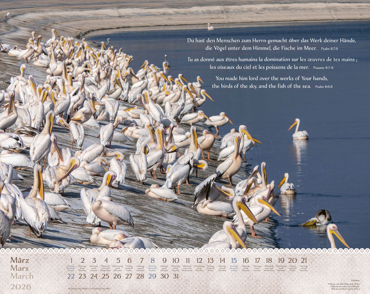 Israel Shalom 2026 - Wandkalender Israel Shalom 2026 - Wandkalender