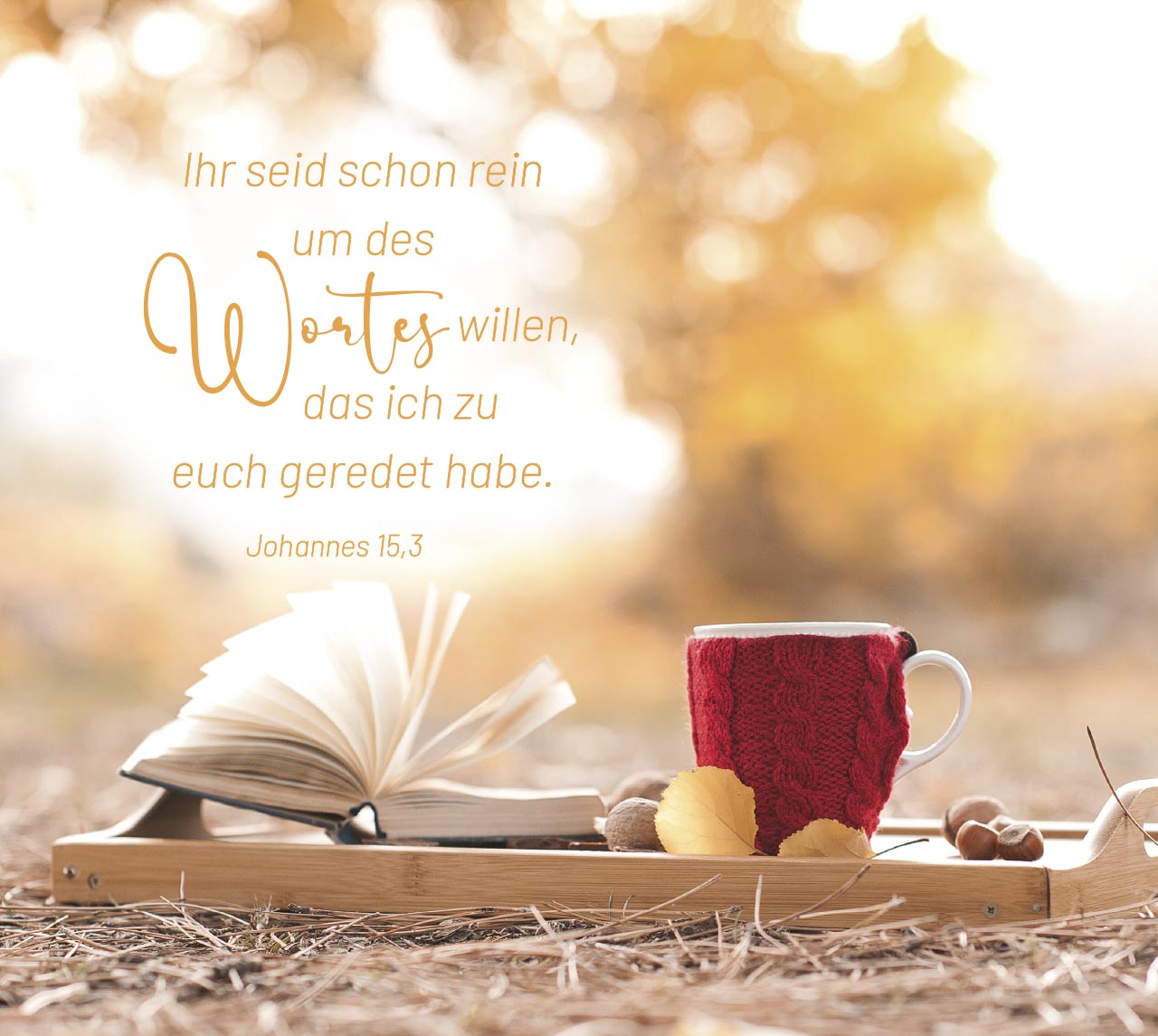 Aufstellbuch Geborgen in Gottes Hand