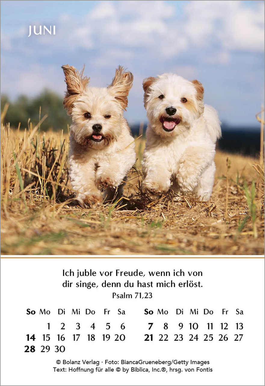 Ein Jahr der Geborgenheit Mini-Kalender 2026