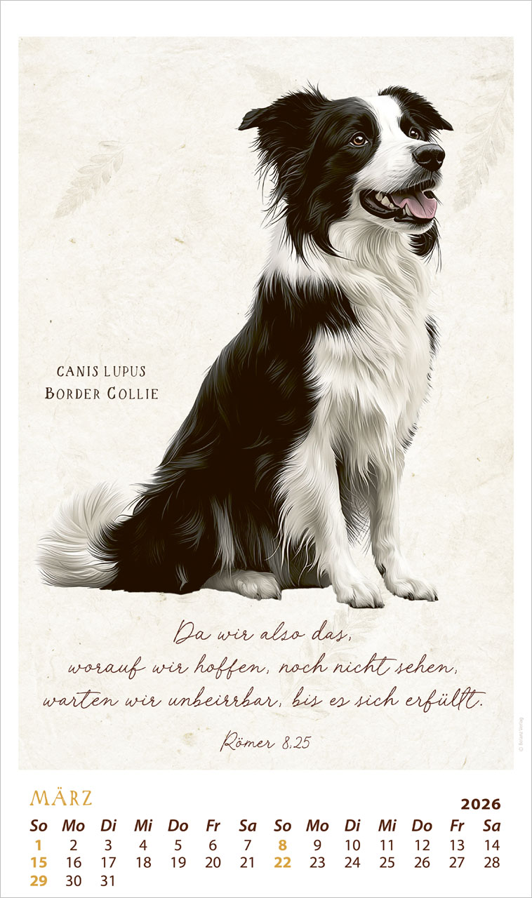 Schmuck Stücke des Schöpfers 2026 - Posterkalender