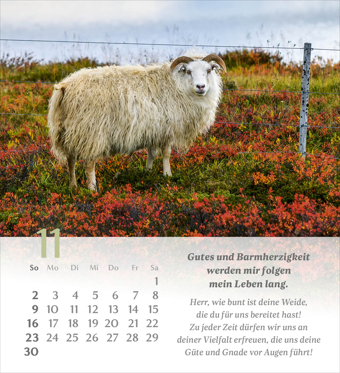 Psalm 23 Tischkalender