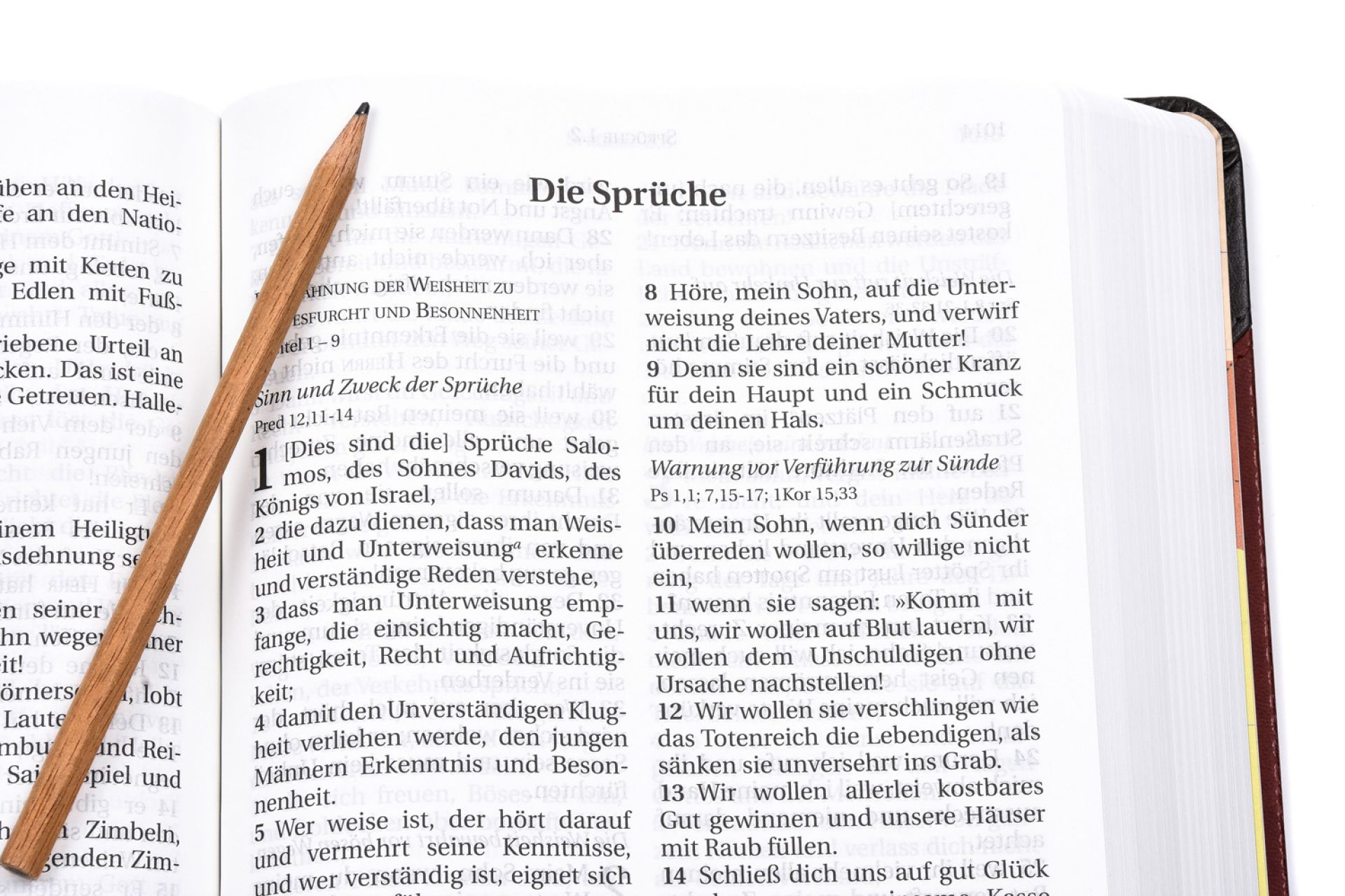 Schlachter 2000 - Großdruckausgabe, grau/braun, flexibel