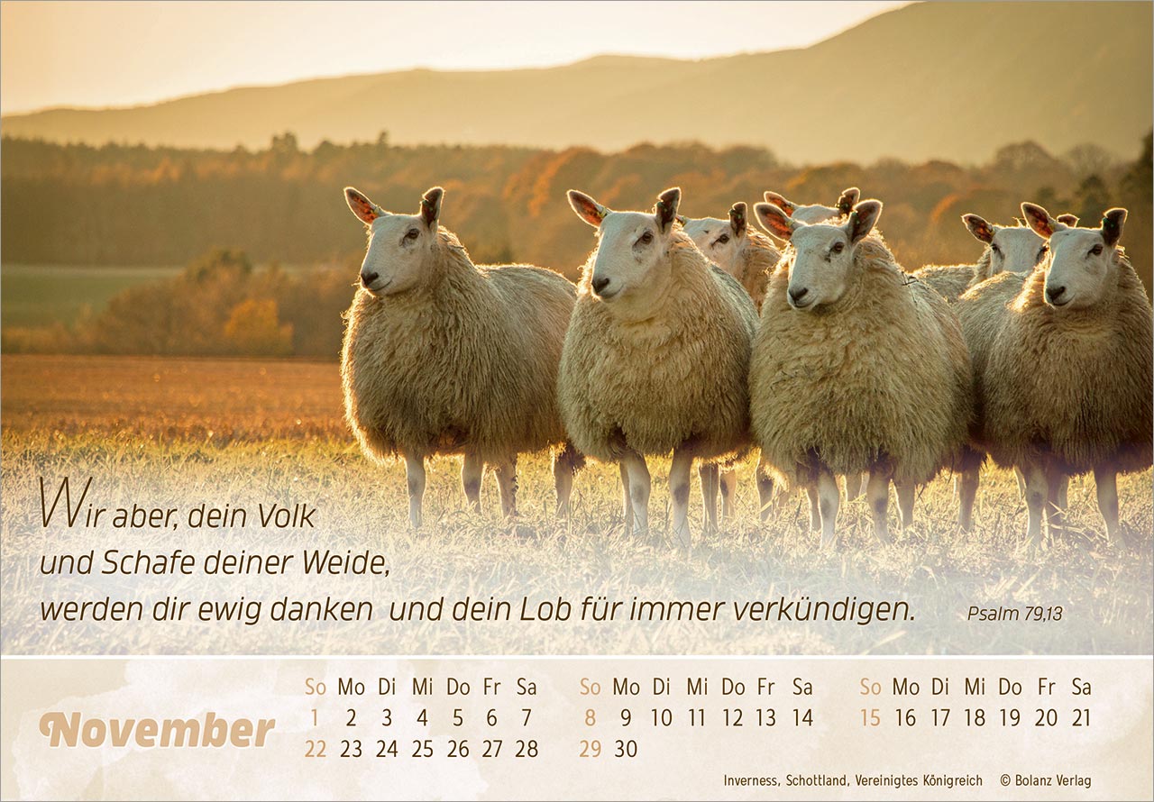 Der Gute Hirte 2026 - Panoramakalender