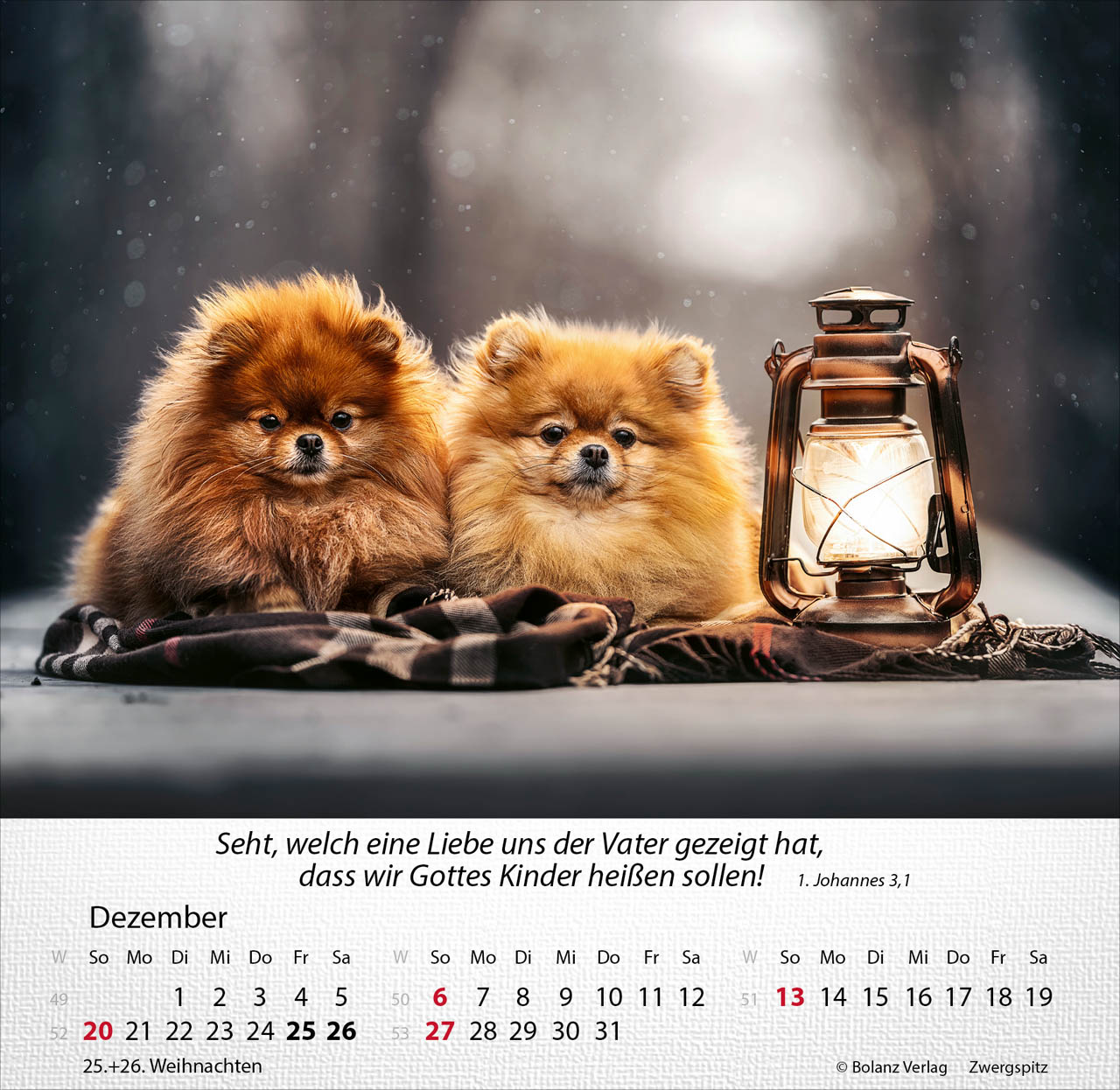 Hunde 2026 - Tischkalender