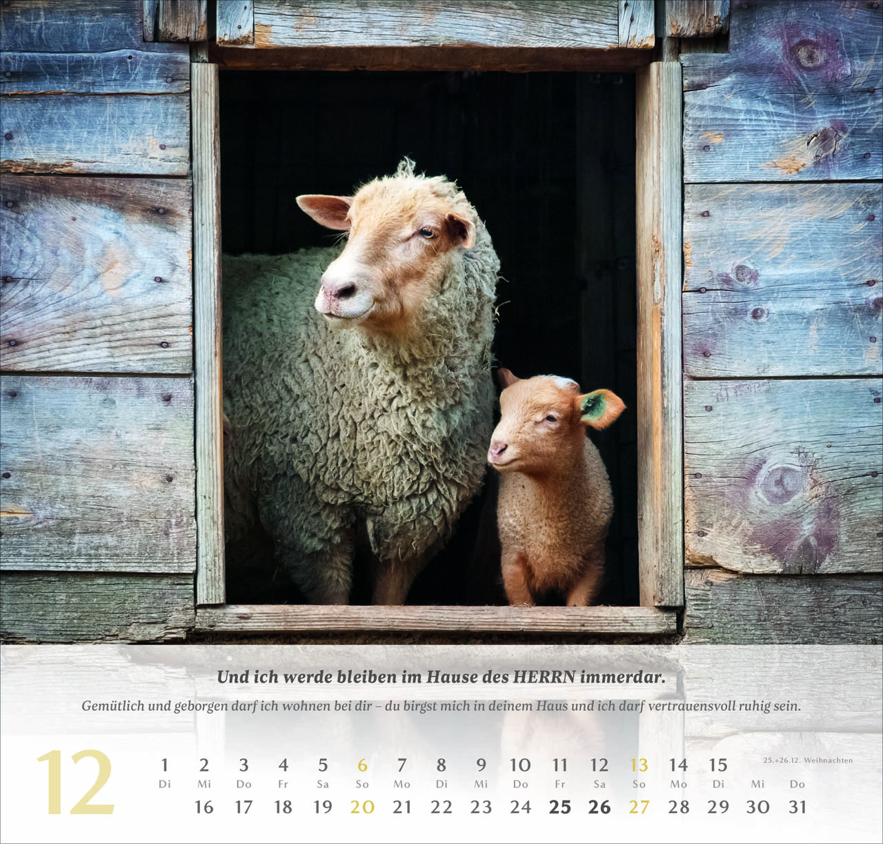 Psalm 23 Wandkalender 2026