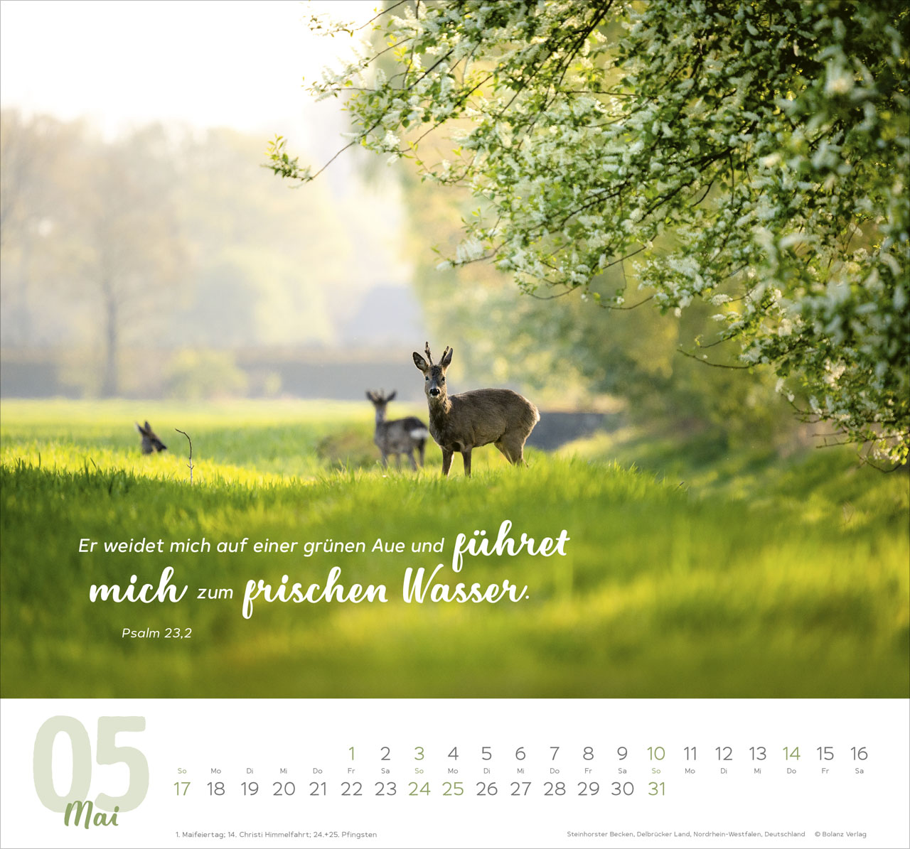 Meine Zeit 2026 - Wandkalender