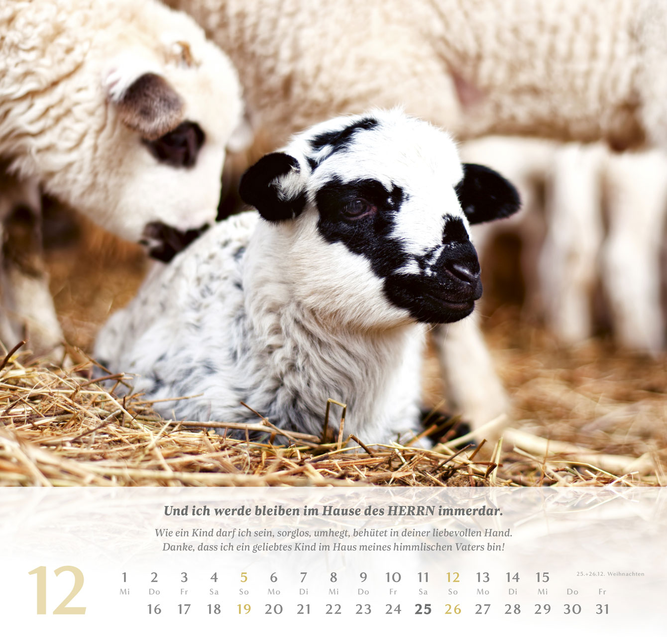 Psalm 23 – 2027 –  Wandkalender