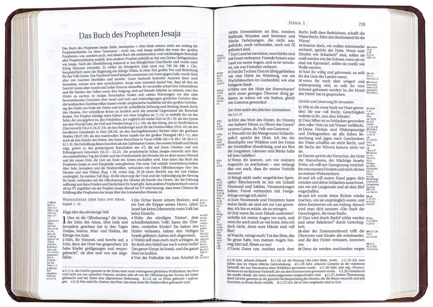 Schlachter 2000 - Taschenausgabe, Goldschnitt