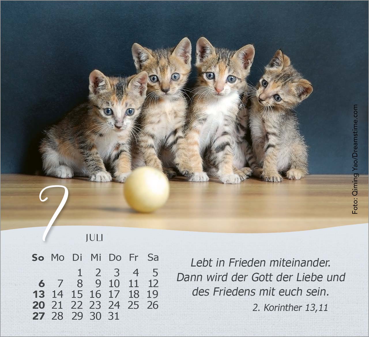 Katzen Tischkalender