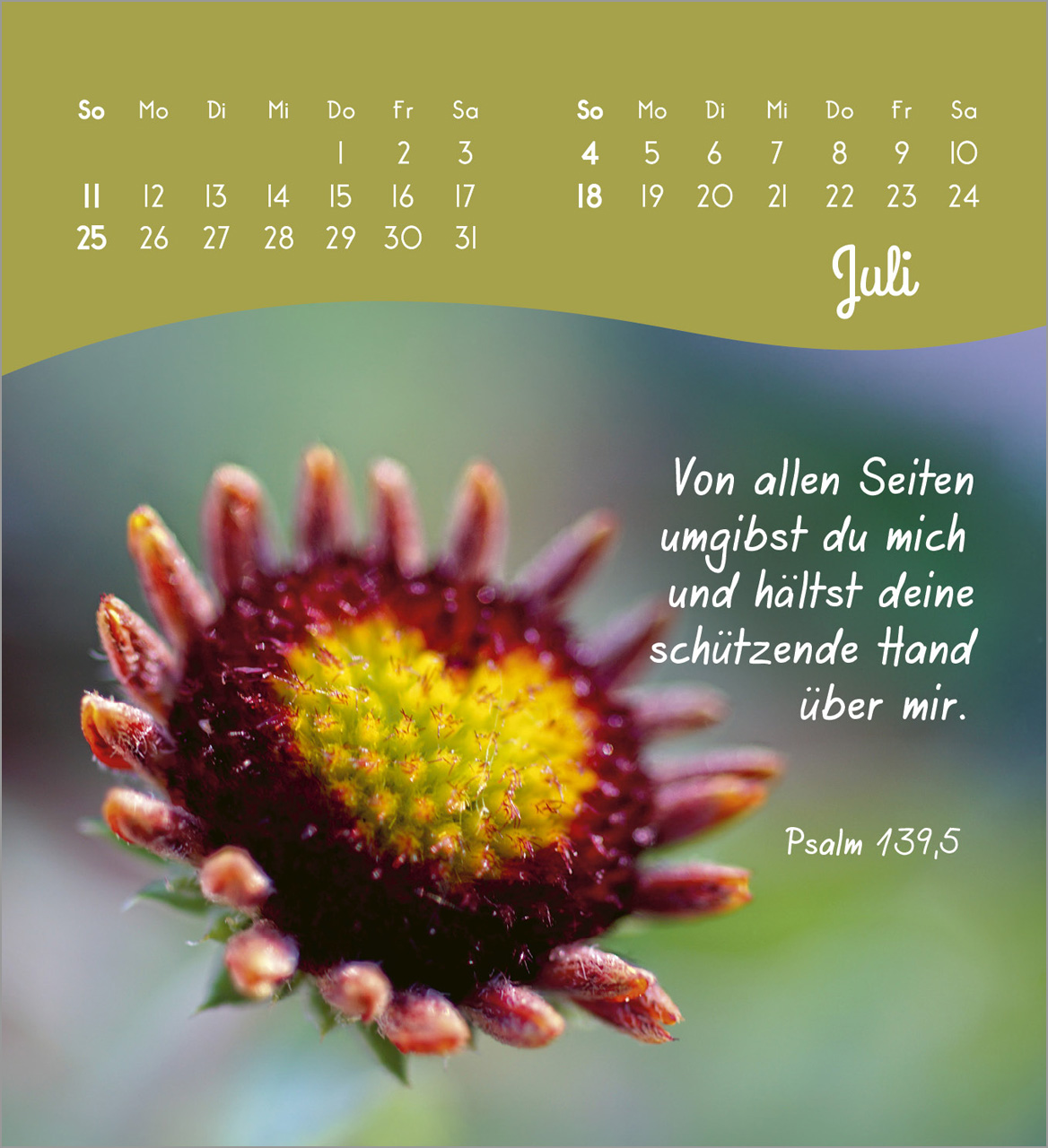 Von Herzen ein glückliches Jahr 2027 – Tischkalender