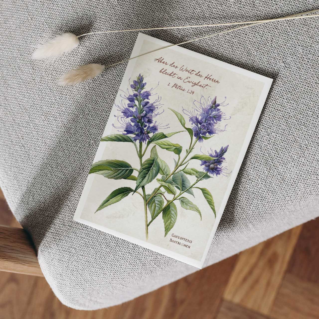 Postkarte Bartblumen