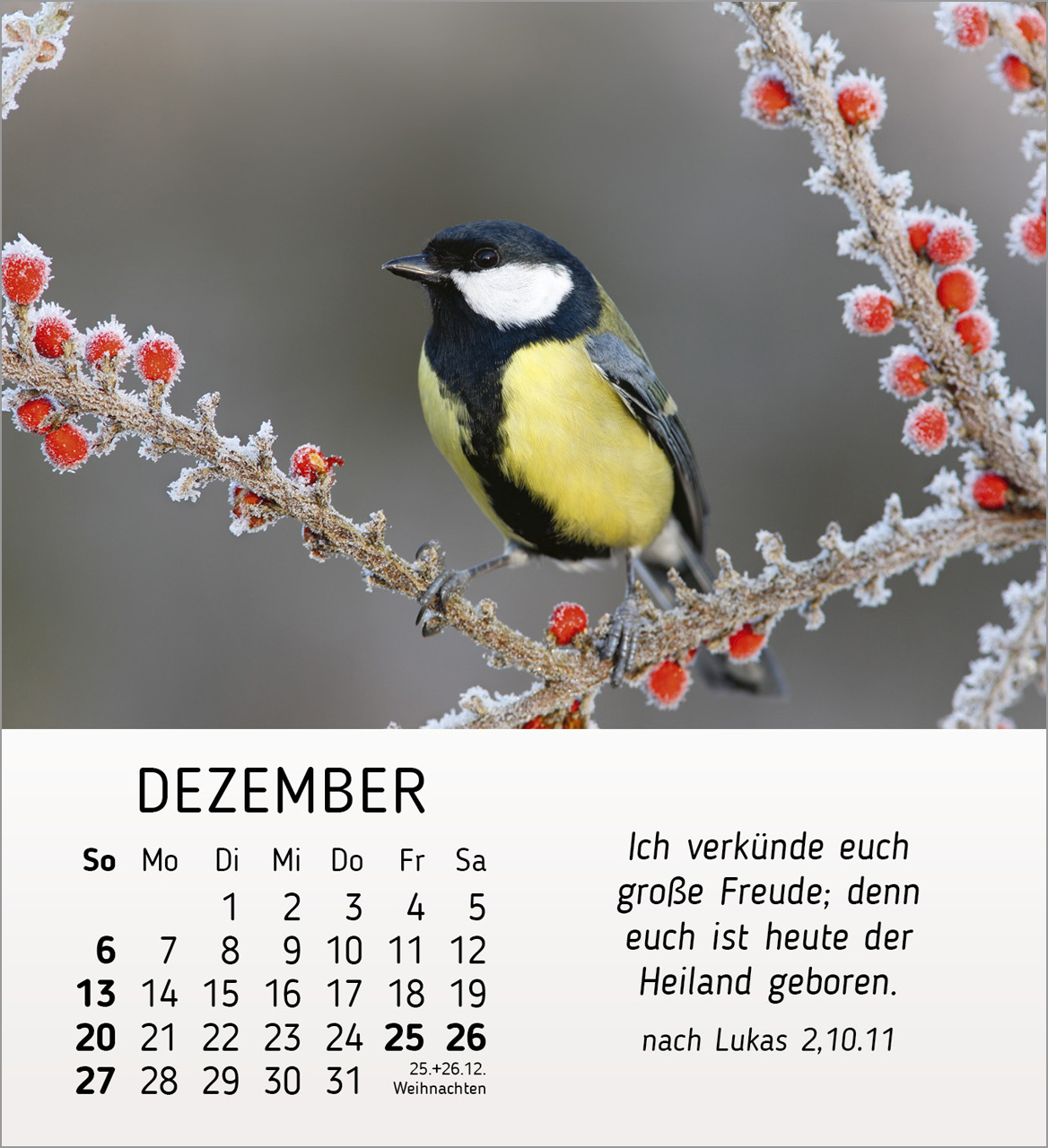 Stille Begegnungen Tischkalender 2026 Stille Begegnungen Tischkalender 2026