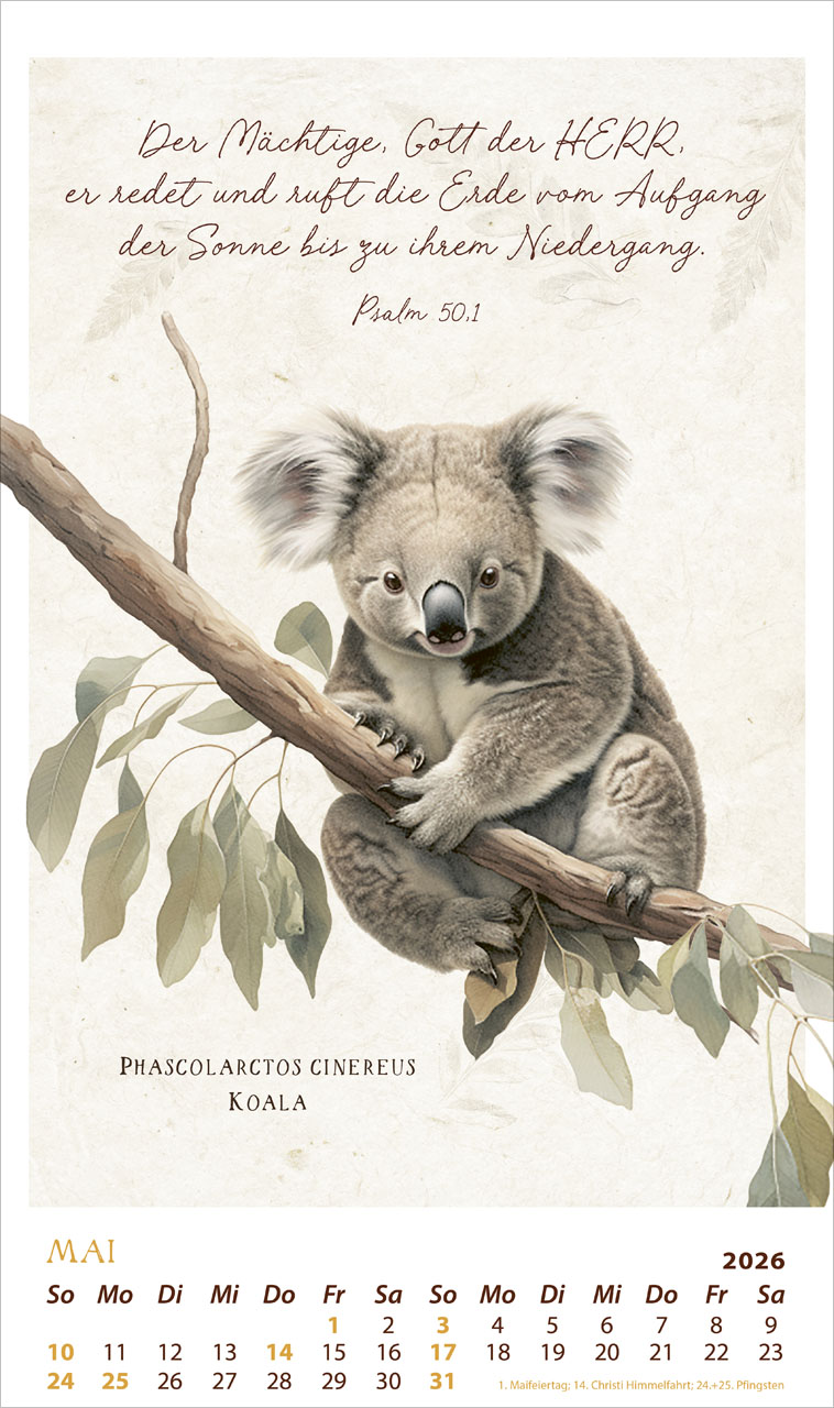 Schmuck Stücke des Schöpfers 2026 - Posterkalender