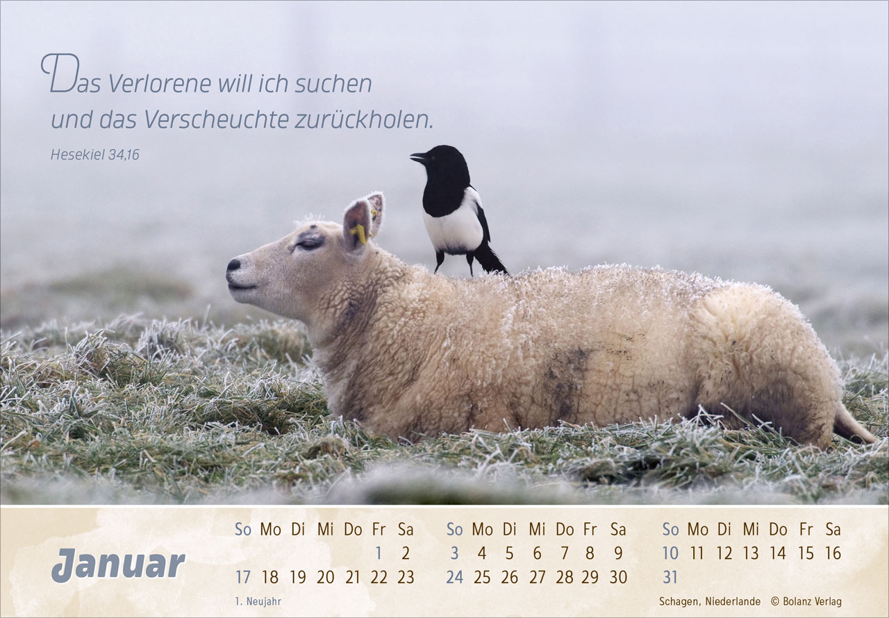Der Gute Hirte 2027 – Panoramakalender