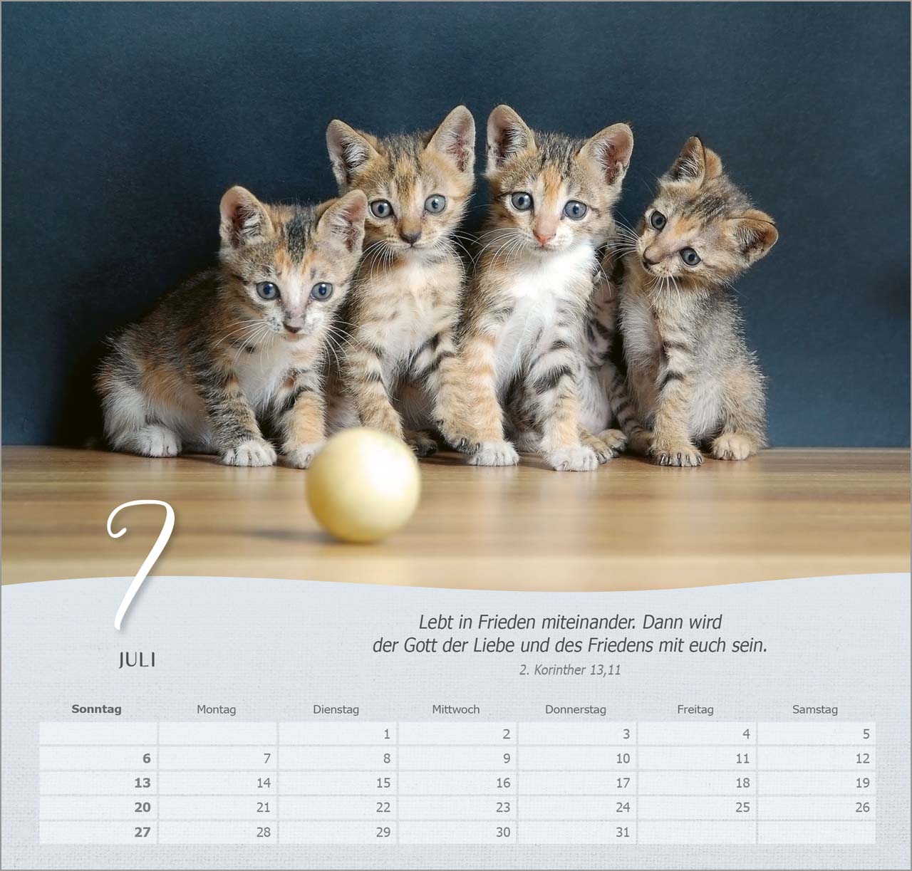 Katzen Wandkalender