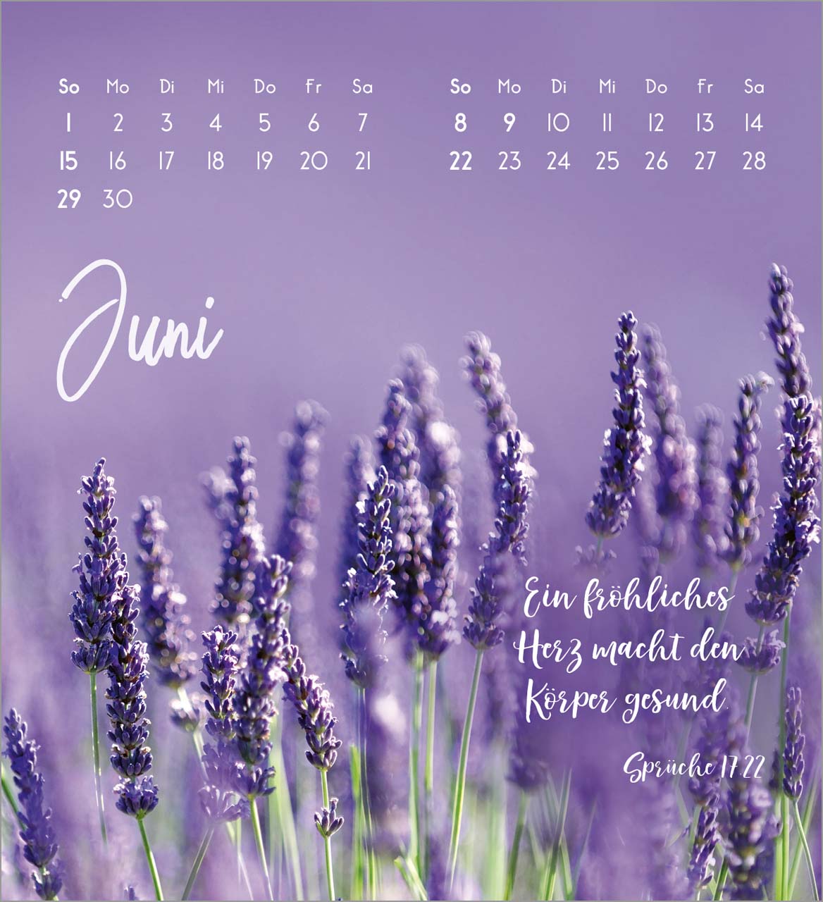 Zarte Blumengrüße Tischkalender