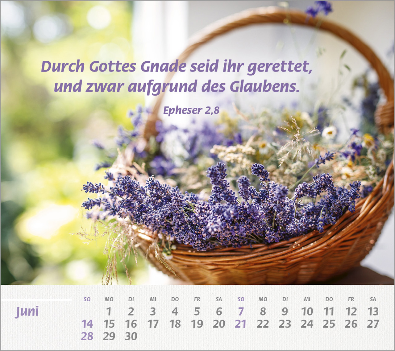 Du bist meine Stärke Großdruck-Tischkalender 2026