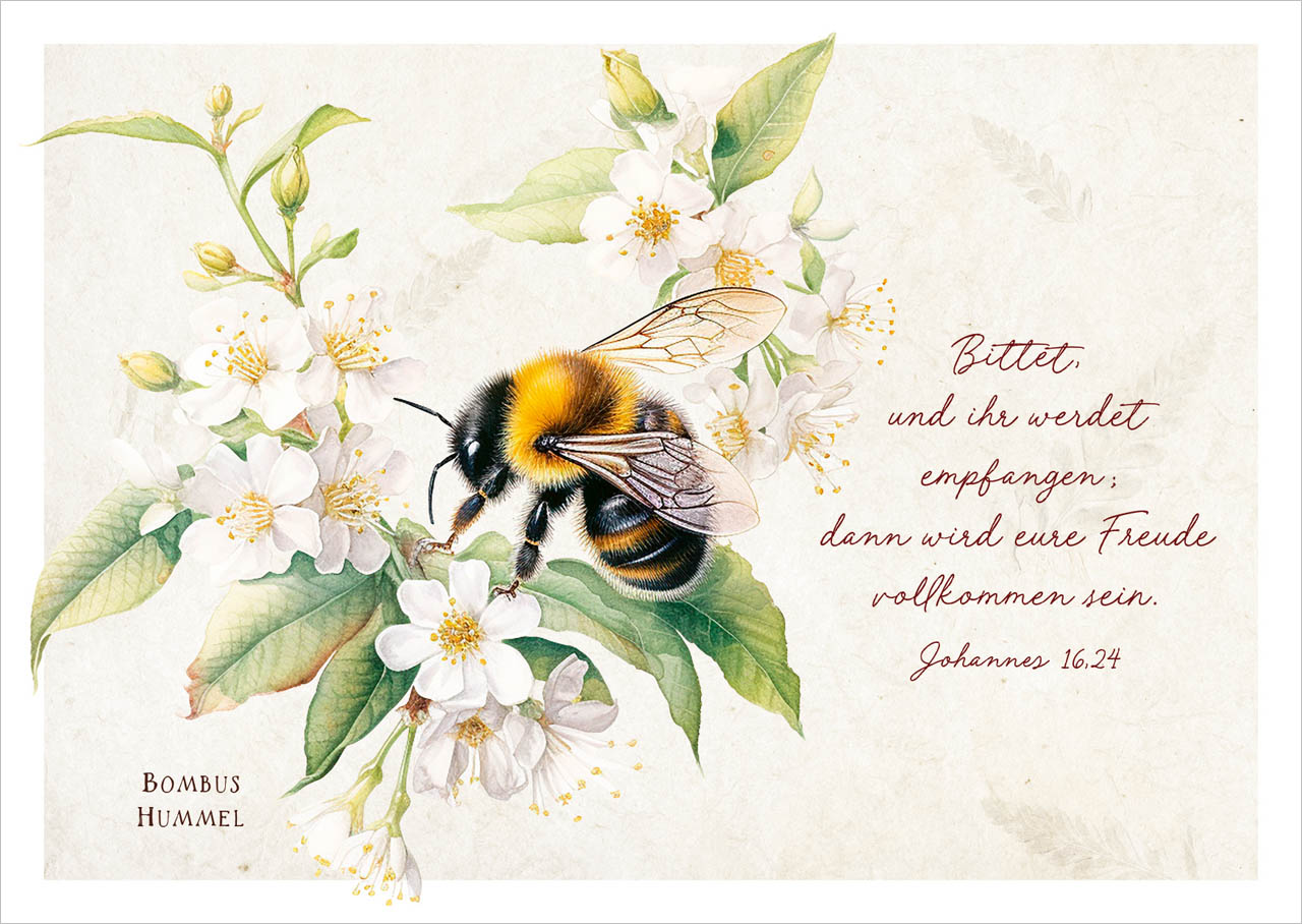Postkarte Hummel an Blüten