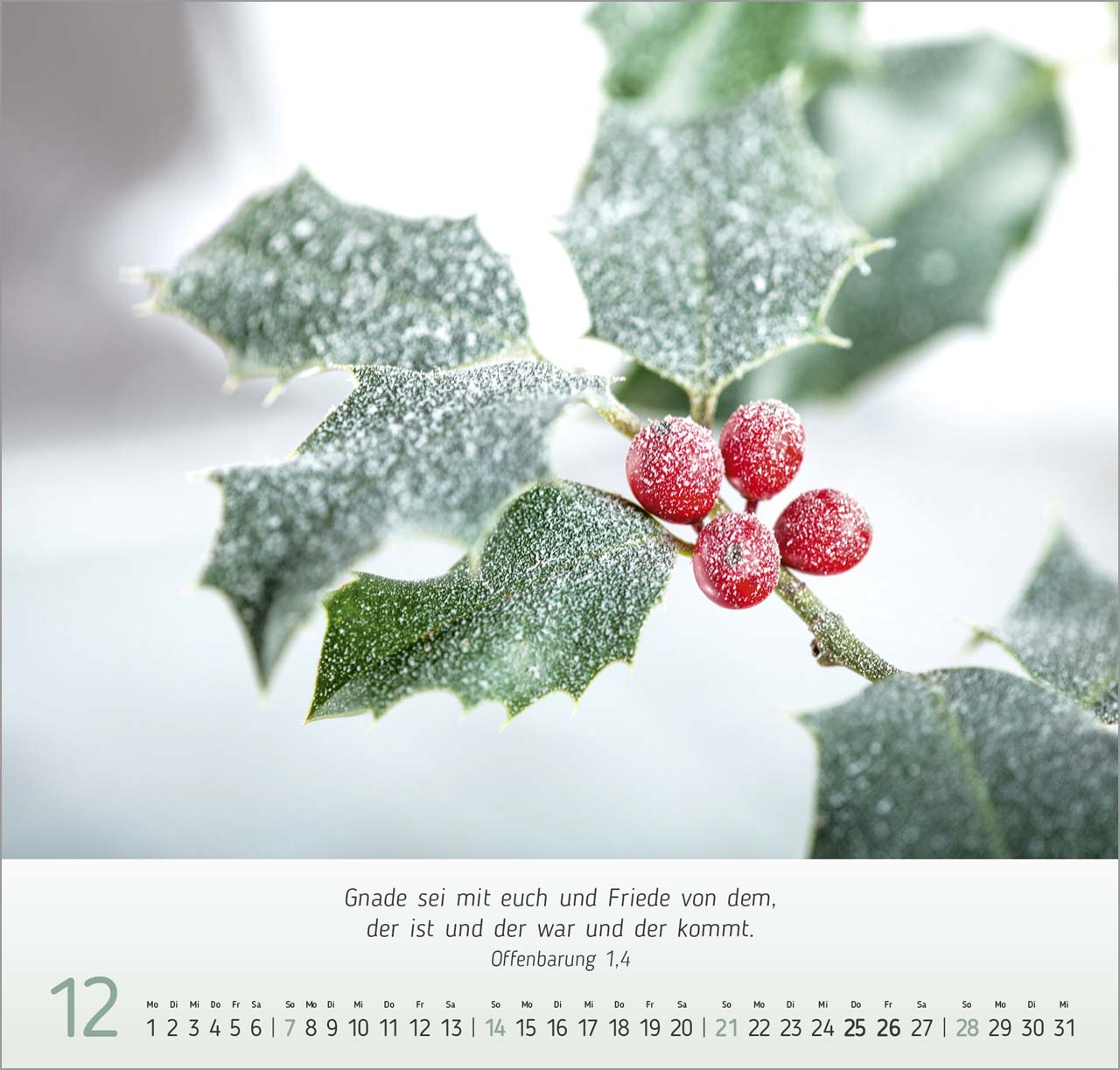 Gesichter der Natur Wandkalender