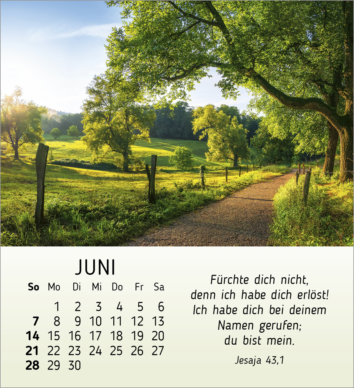 Schöheit des Lichts Tischkalender 2026 Schöheit des Lichts Tischkalender 2026