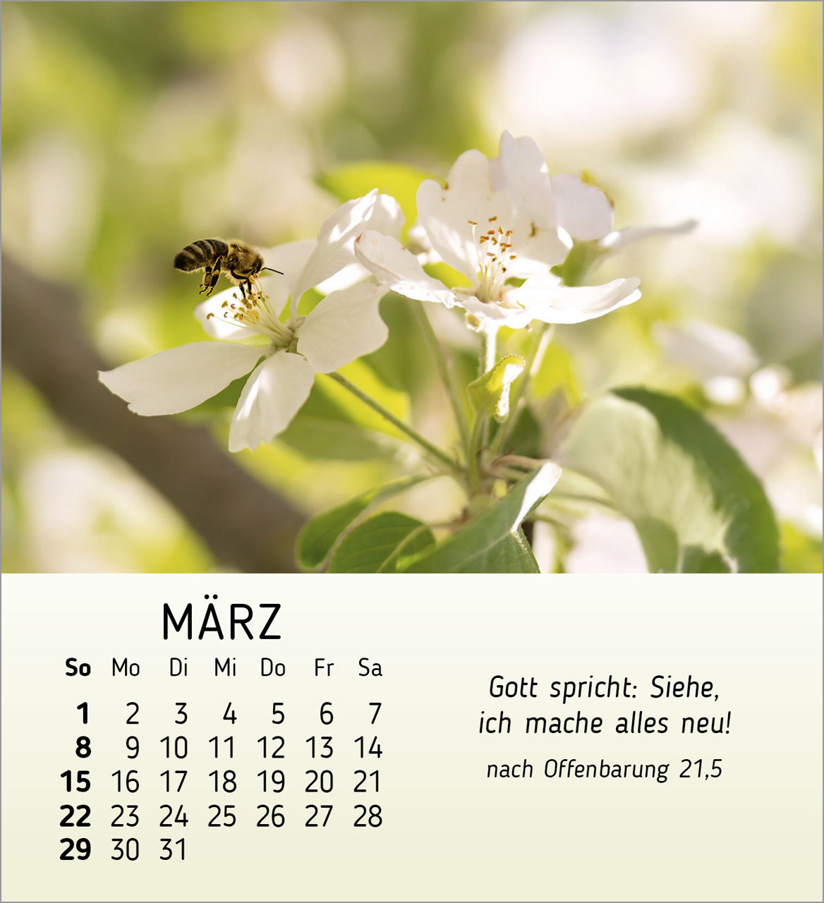 Stille Begegnungen Tischkalender 2026 Stille Begegnungen Tischkalender 2026