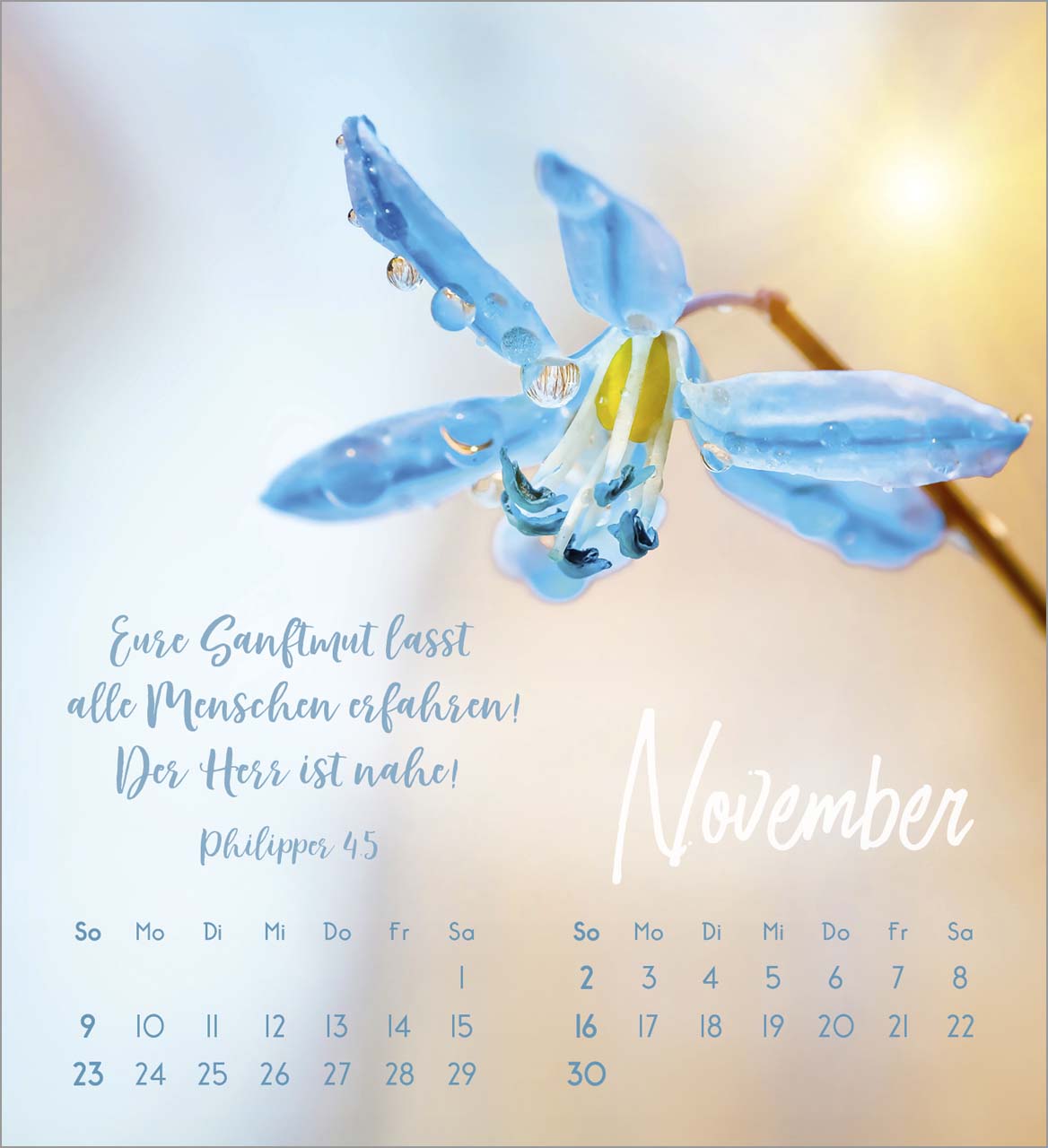 Zarte Blumengrüße Tischkalender