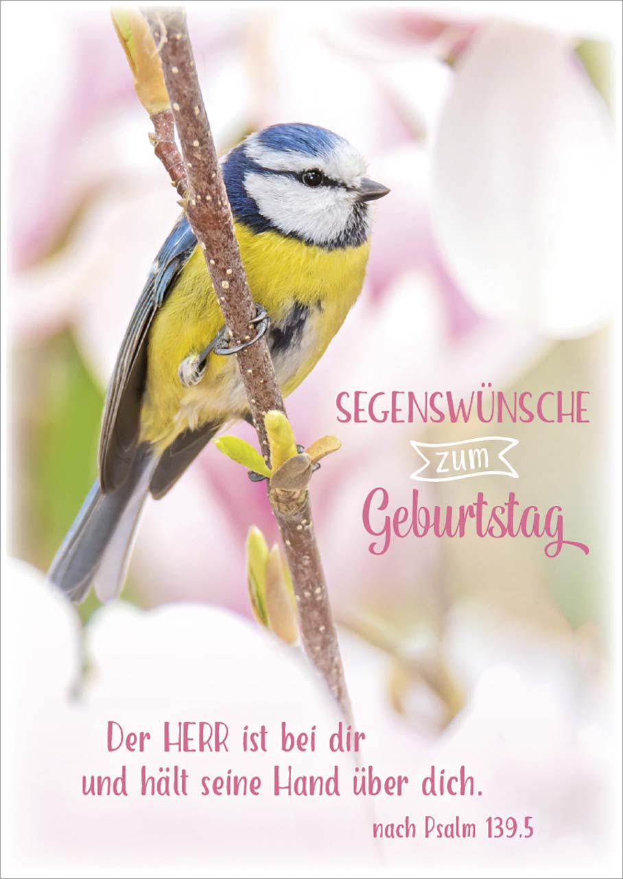 Faltkarte Meise - Geburtstag