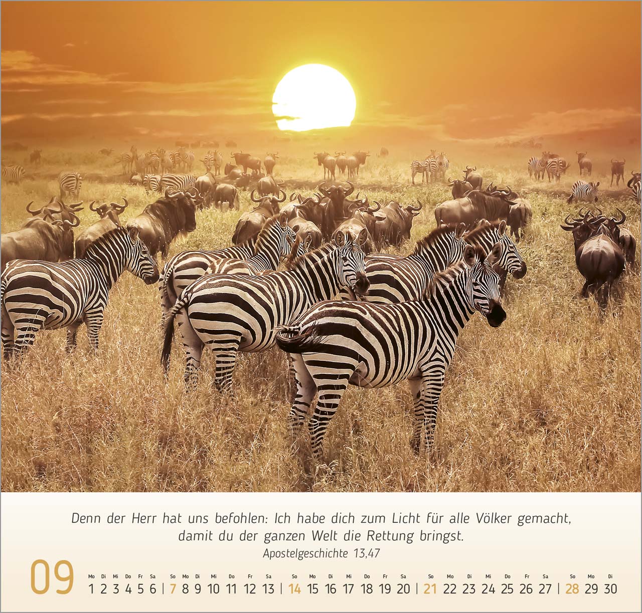 Natur- Impressionen Wandkalender