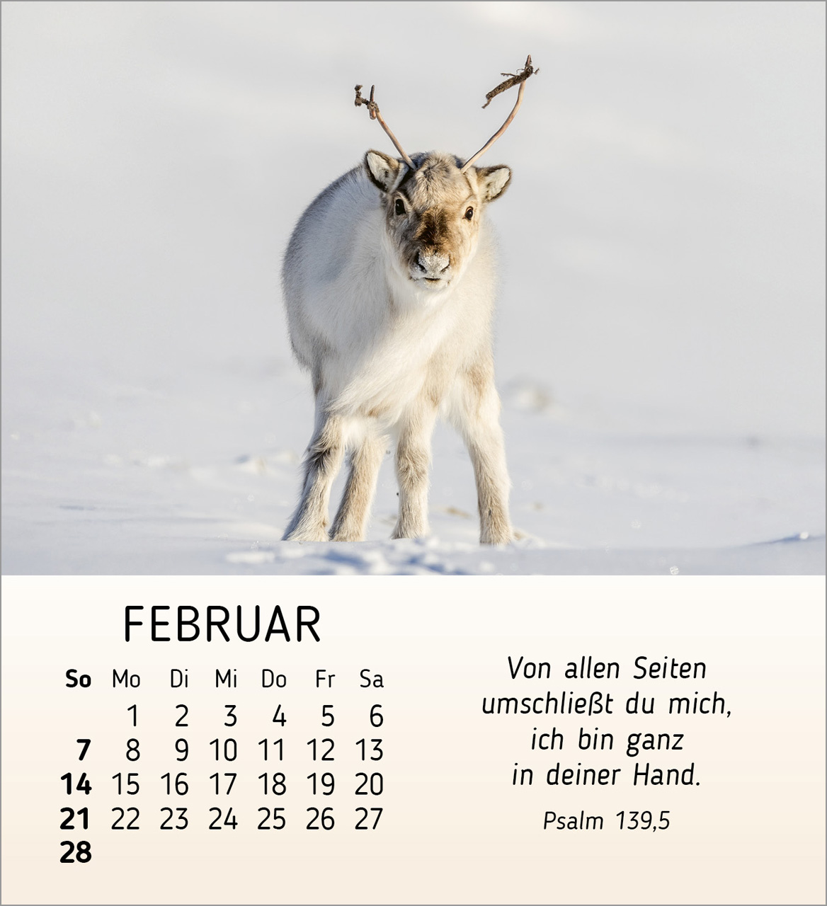 Meine kleinen Freunde 2027 – Tischkalender