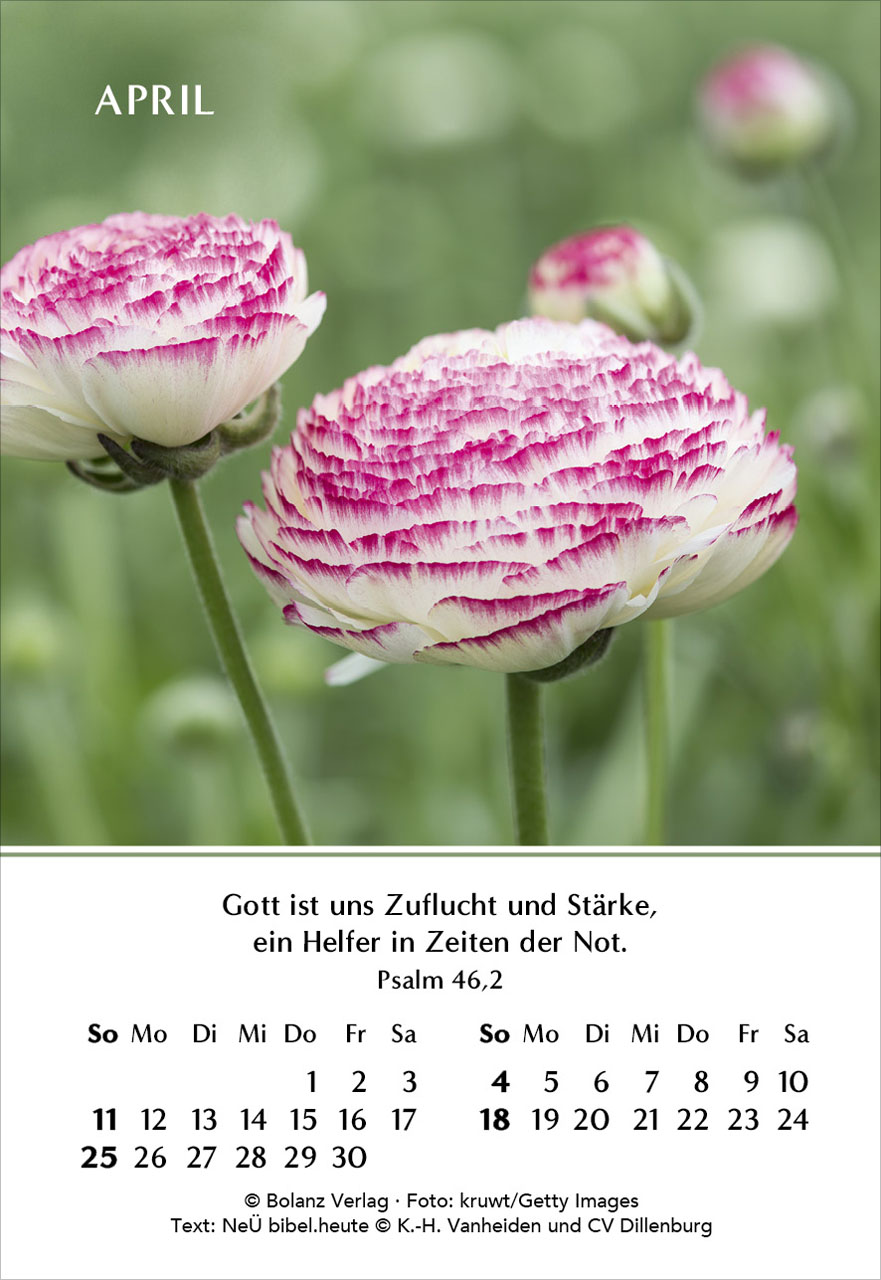 Ein Jahr der Freude 2027 – Minikalender
