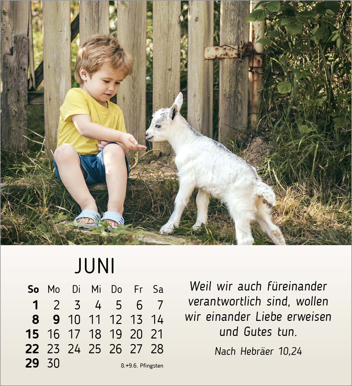 Meine kleinen Freunde 2025 - Tischkalender