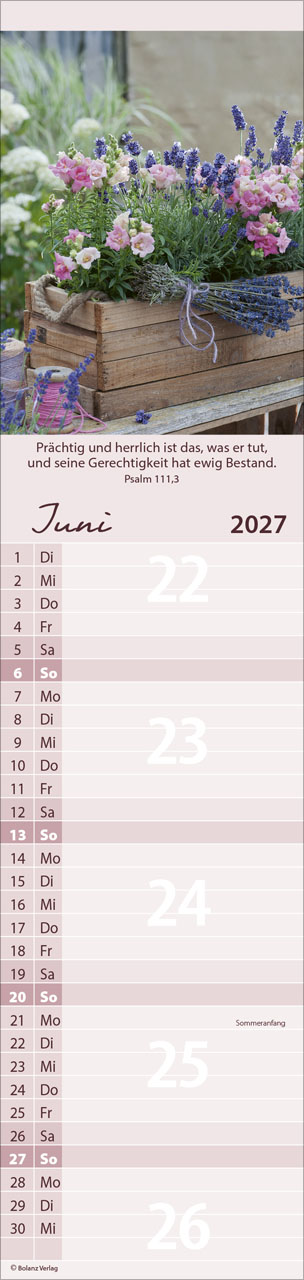 Von Mir zu Dir 2027 – Streifenterminkalender