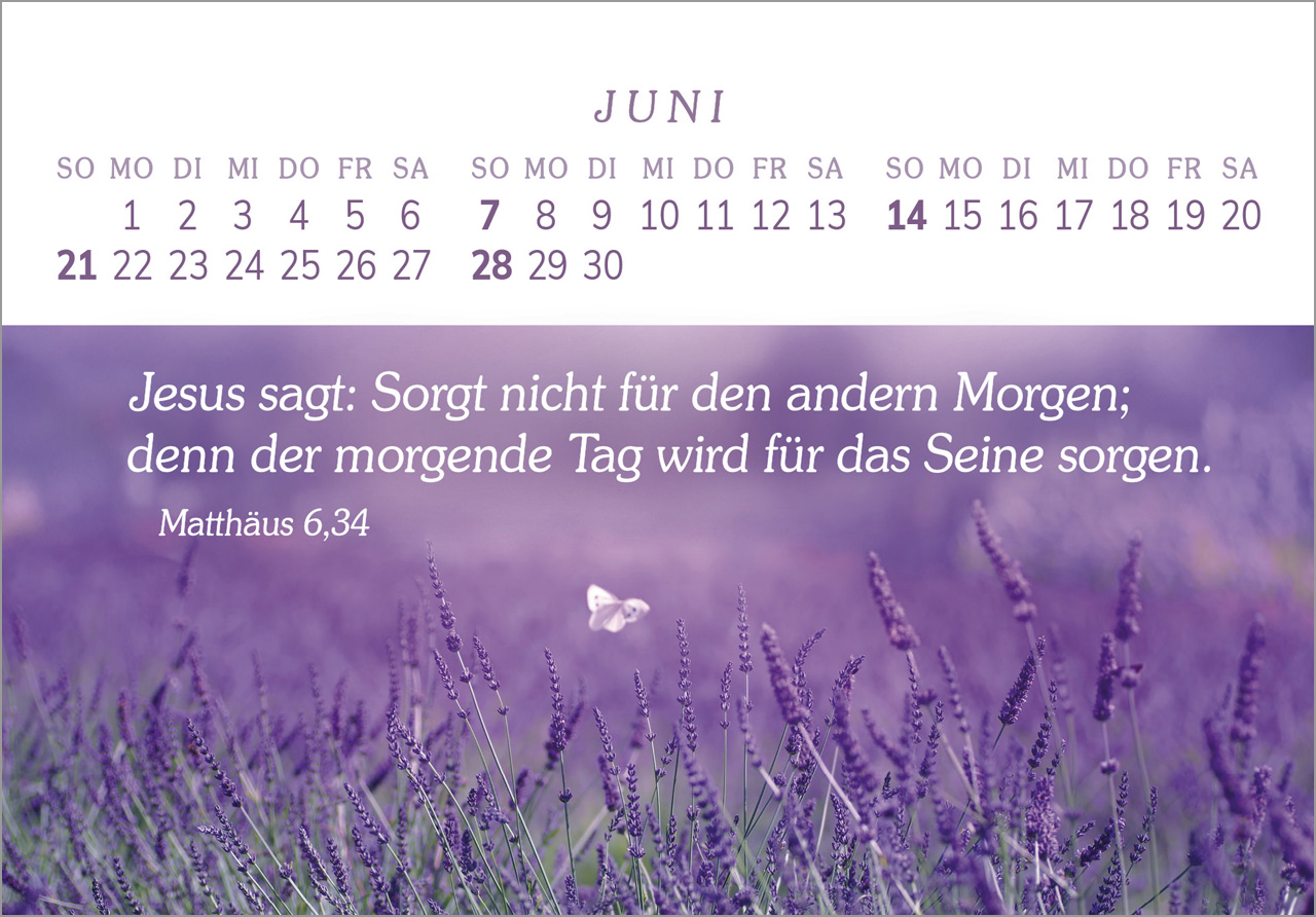 Das Geschenk der Freude 2026