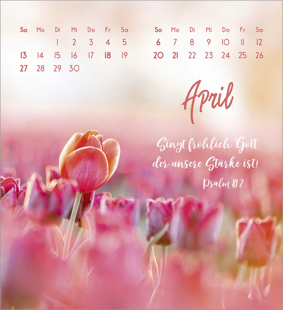 Zarte Blumengrüße Tischkalender