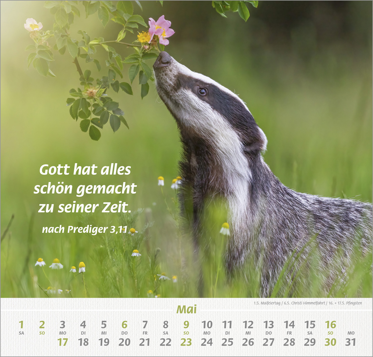Ich hab dich gern 2027 – Wandkalender