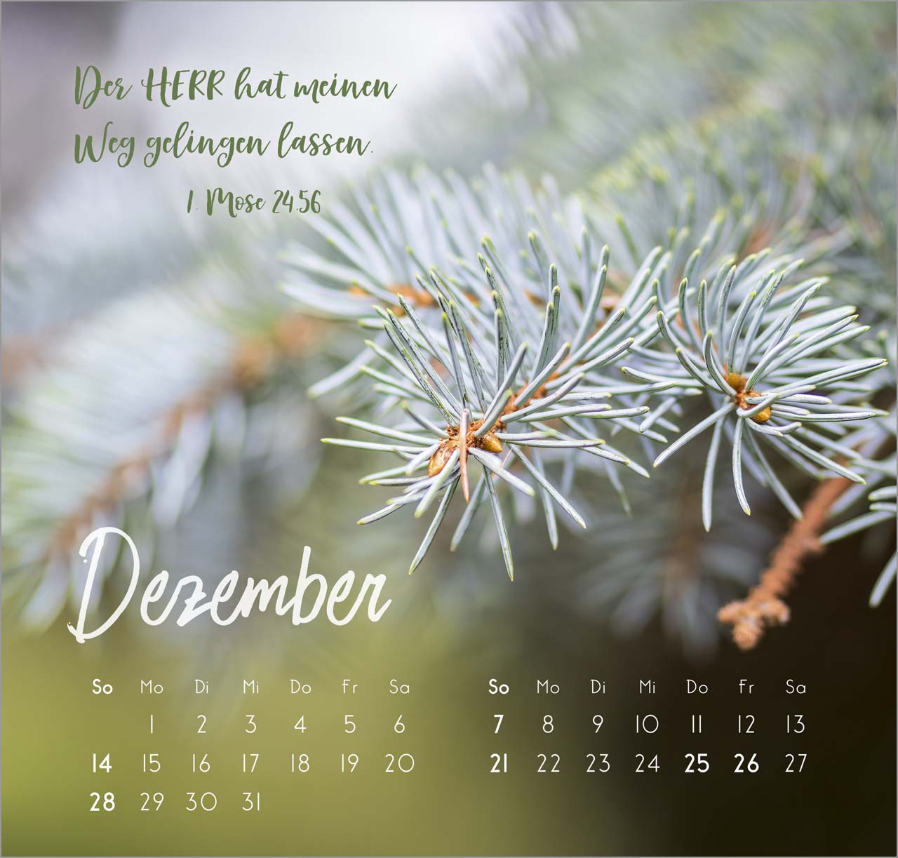 Zarte Blumengrüße Wandkalender