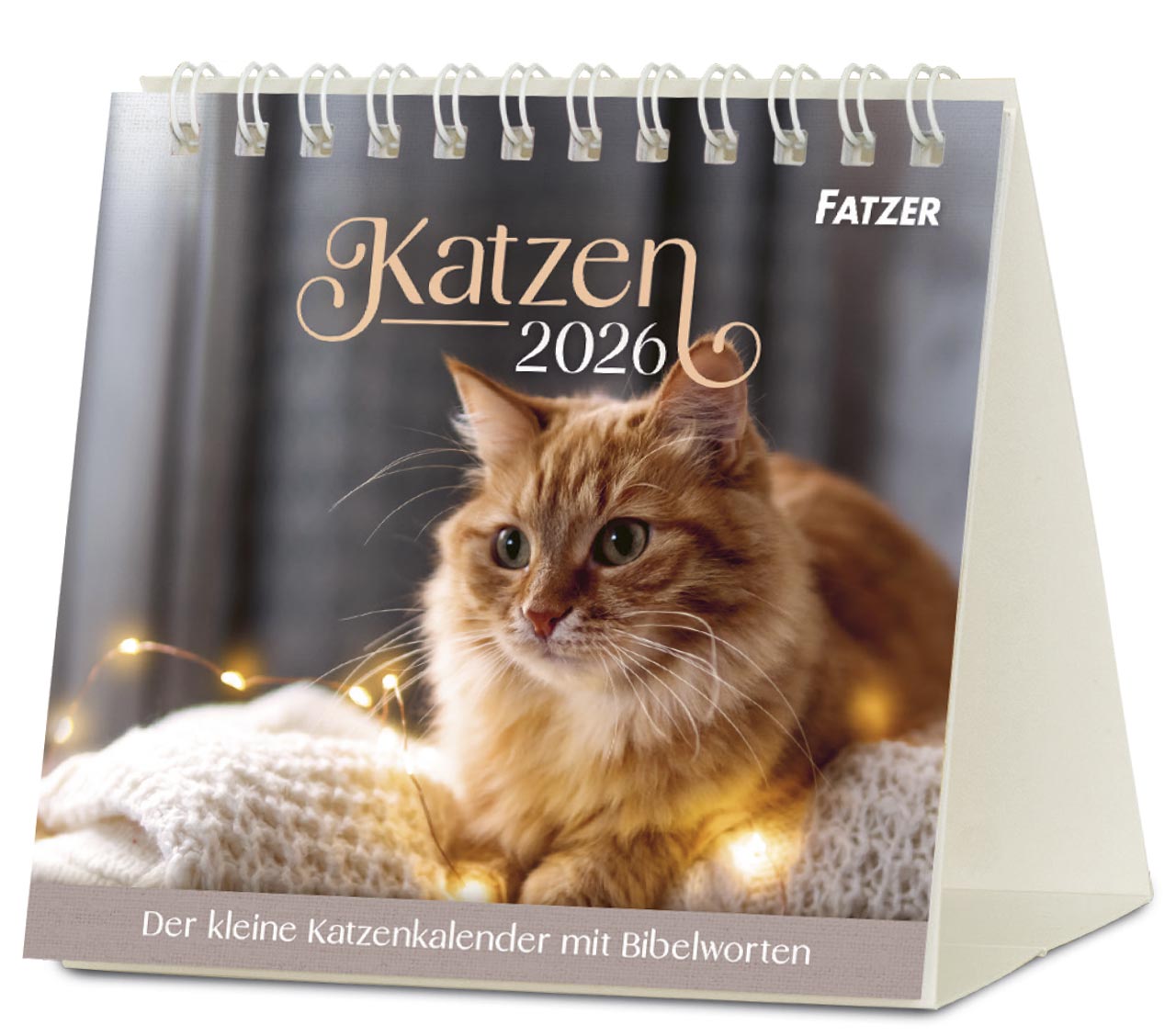 Katzen Tischkalender 2026