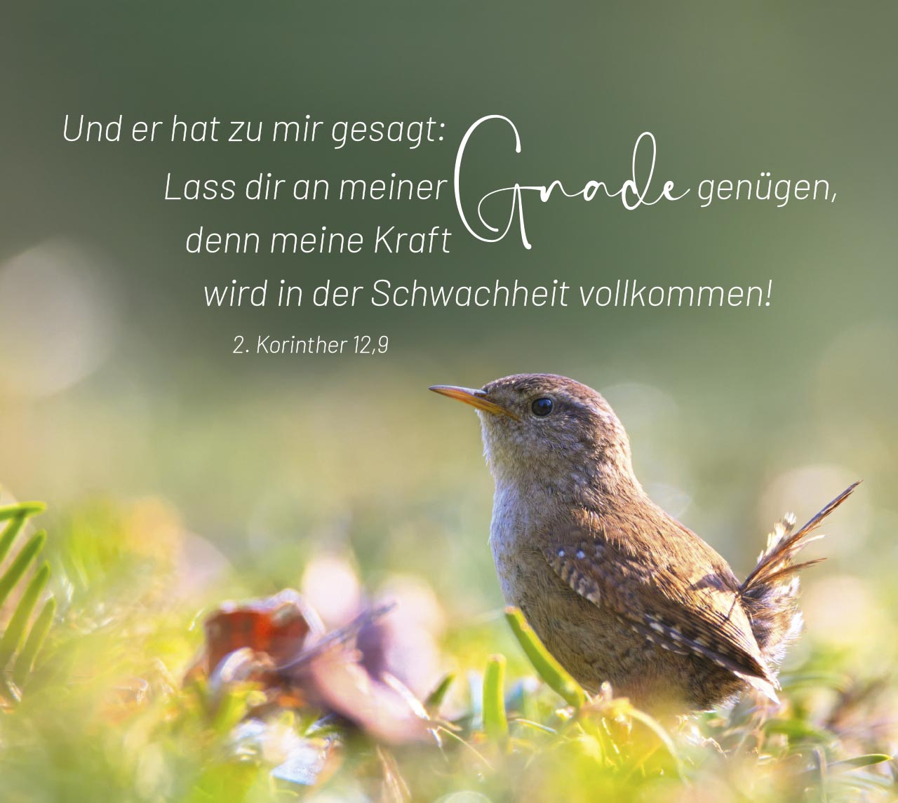 Aufstellbuch Geborgen in Gottes Hand