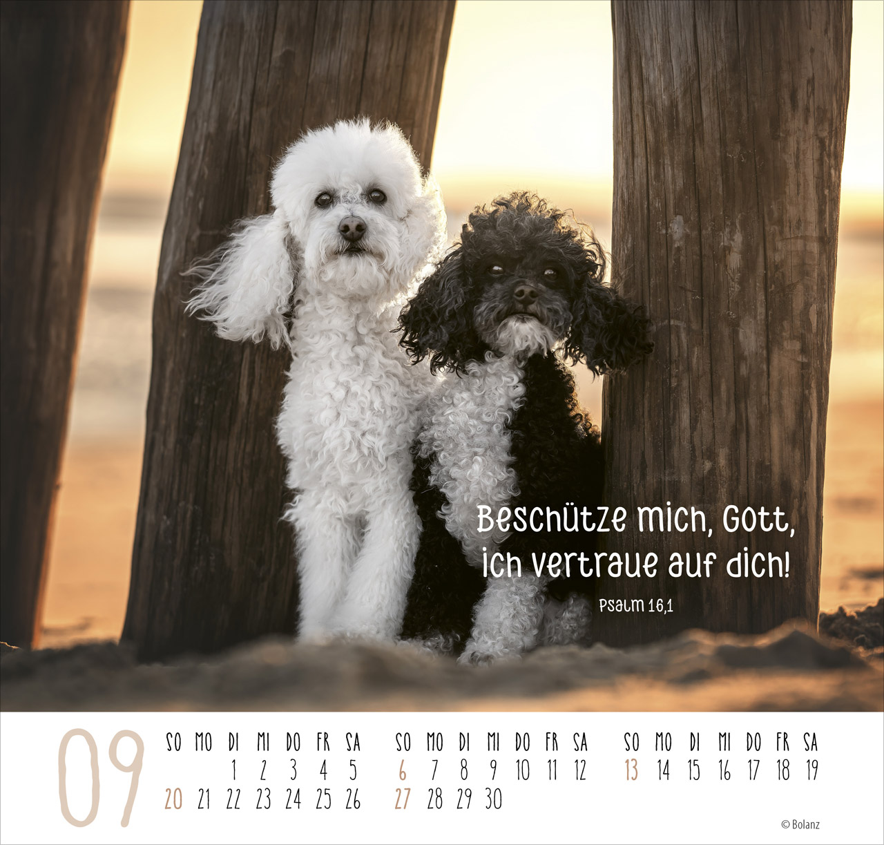 Beste Freunde - Ich mag dich 2026 - Posterkalender