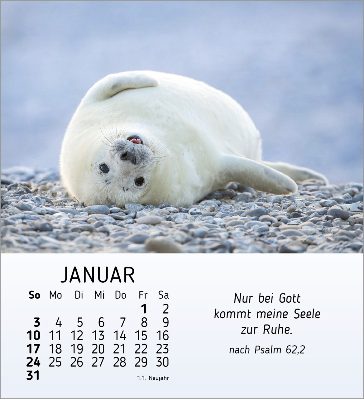 Meine kleinen Freunde 2027 – Tischkalender