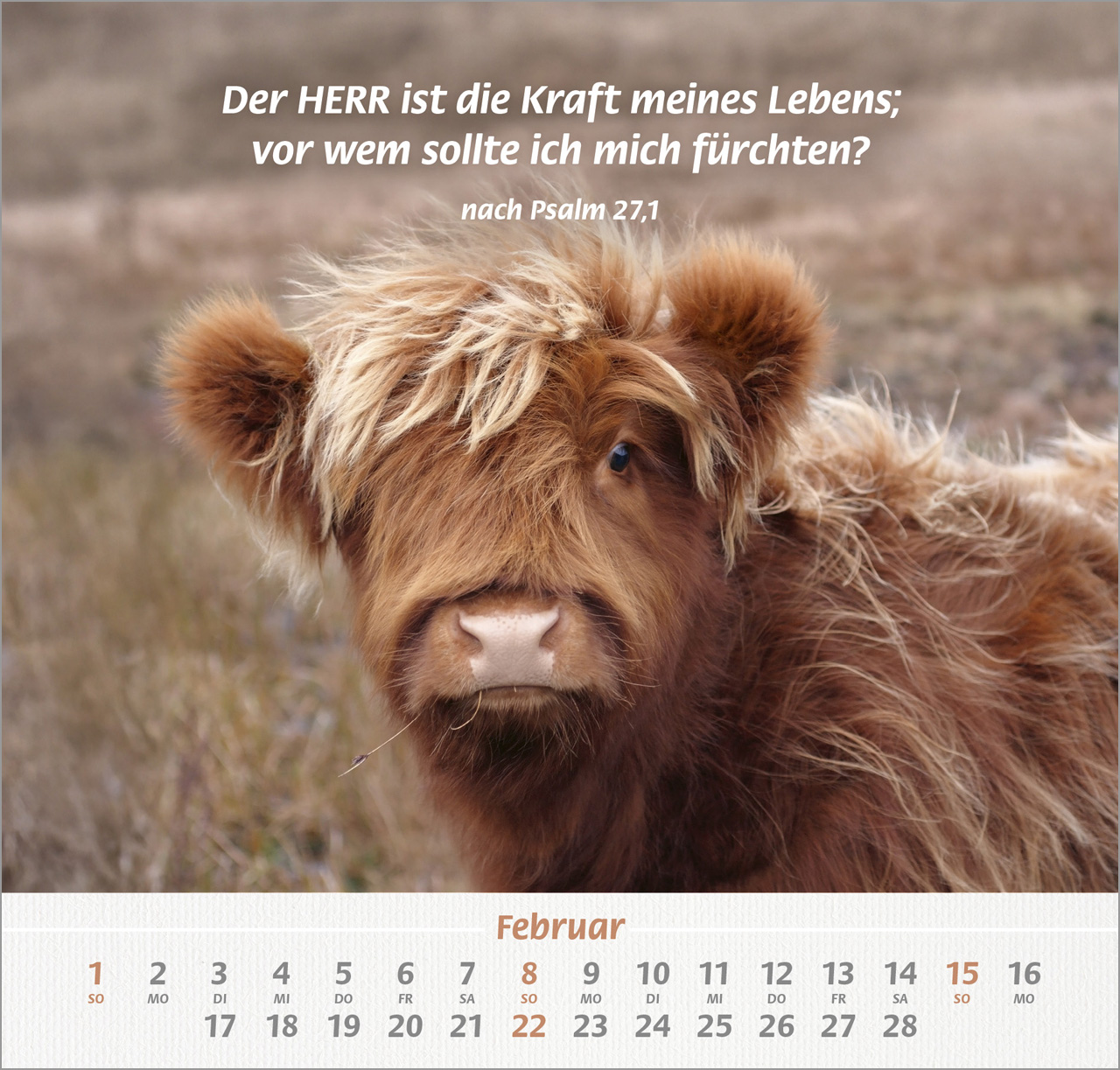 Ich hab dich gern Wandkalender 2026