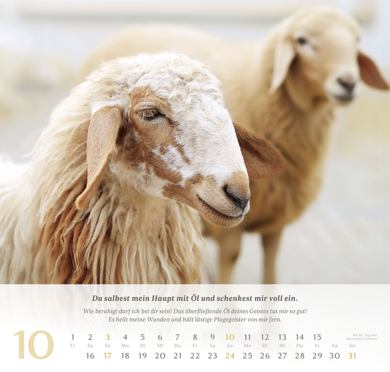 Psalm 23 – 2027 –  Wandkalender